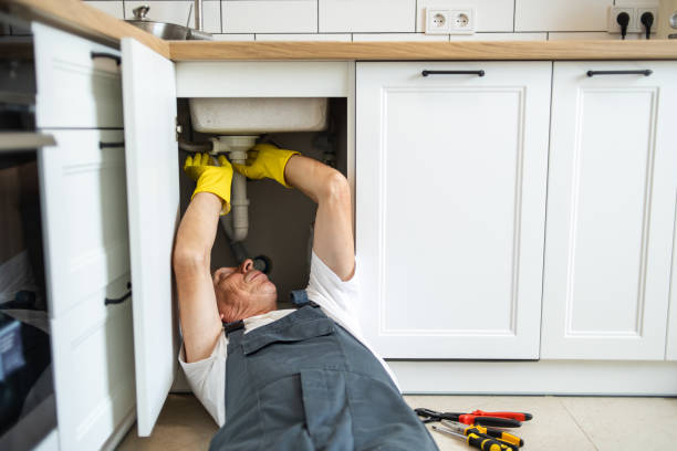 Best Affordable Plumbing Services  in Campton Hls, IL